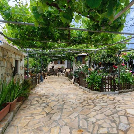 Dimitris'S Country House Agia  Bagian luar foto