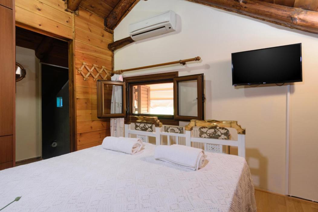 Dimitris'S Country House Agia  Bagian luar foto