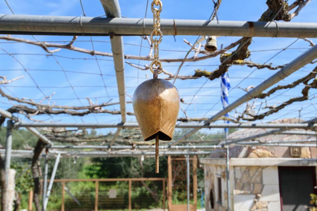Dimitris'S Country House Agia  Bagian luar foto