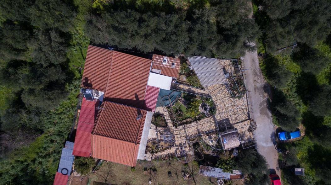 Dimitris'S Country House Agia  Bagian luar foto