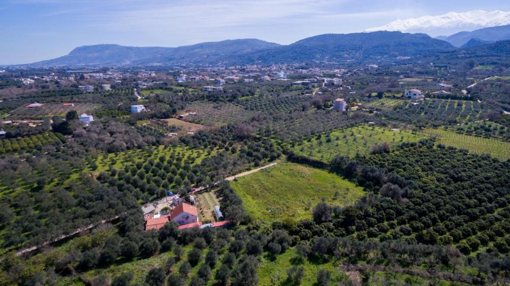 Dimitris'S Country House Villa Agia  Bagian luar foto