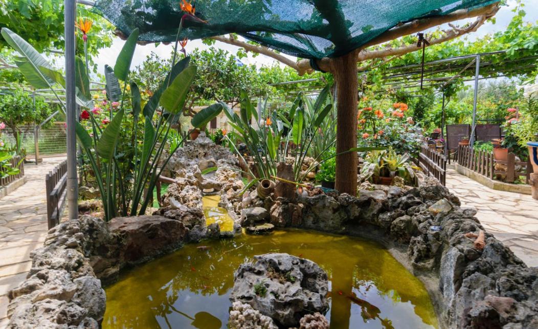 Dimitris'S Country House Agia  Bagian luar foto