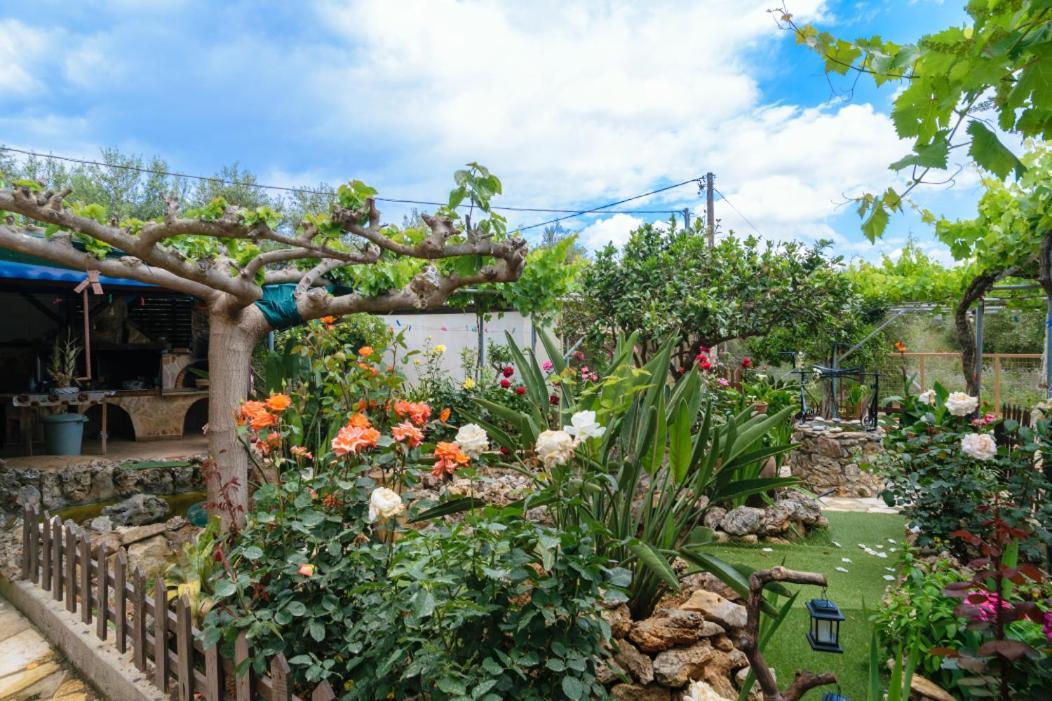 Dimitris'S Country House Agia  Bagian luar foto