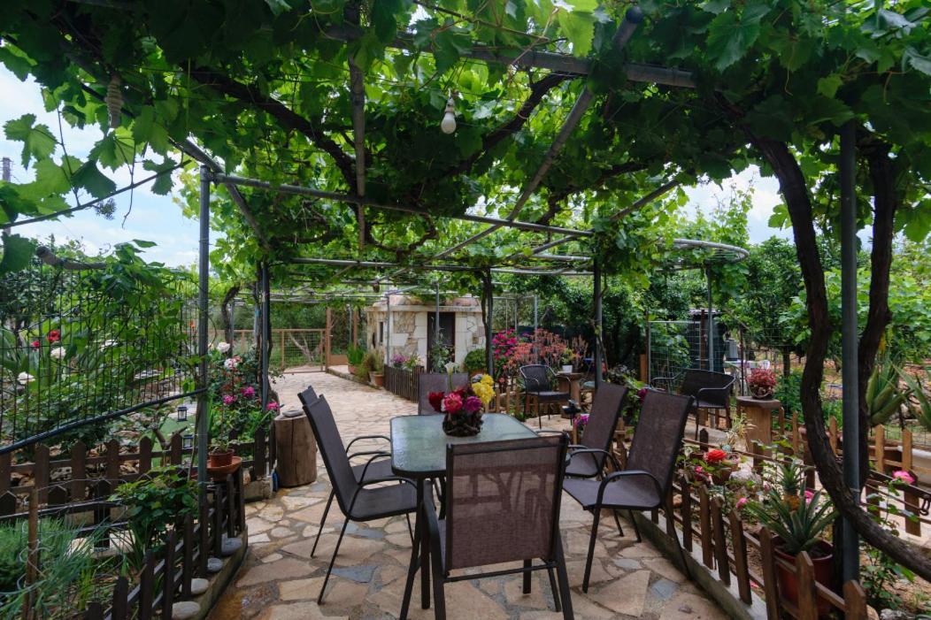 Dimitris'S Country House Agia  Bagian luar foto