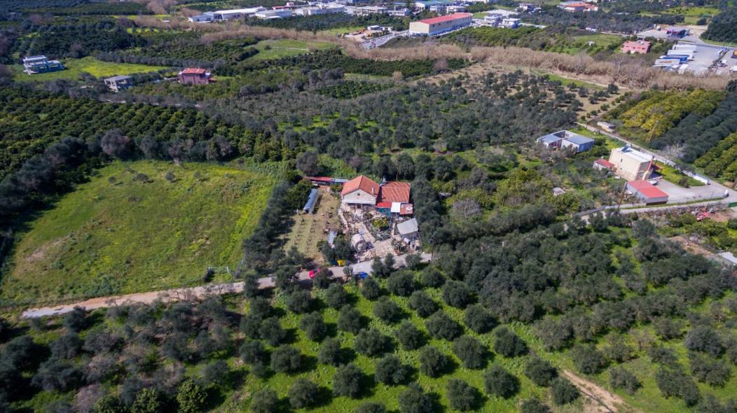 Dimitris'S Country House Villa Agia  Bagian luar foto