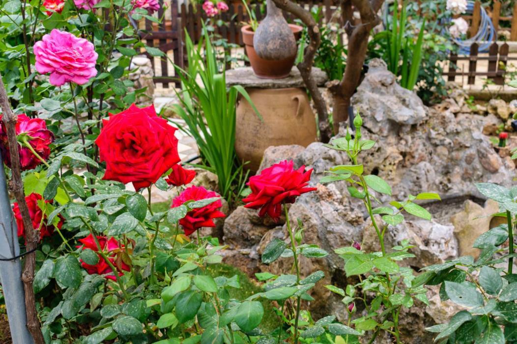 Dimitris'S Country House Agia  Bagian luar foto